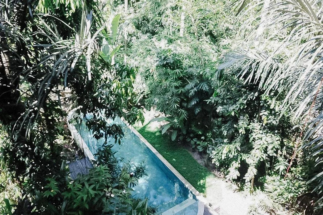 Shanti Toya Ashram Mambat Extérieur photo